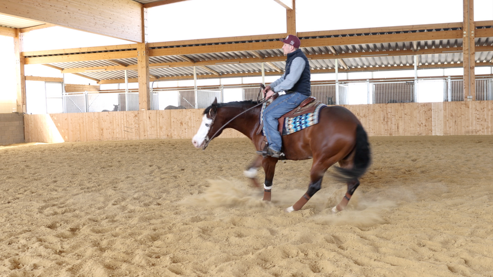 Reining: Spin Training mit Patrick Göschl